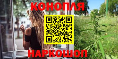гидропоника Пенза